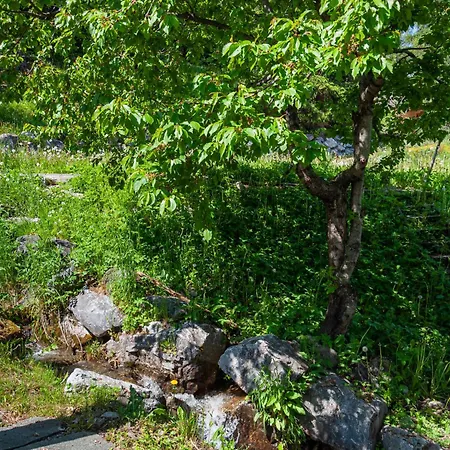 Arvine By Interhome *