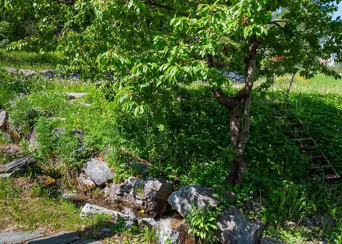 Arvine By Interhome *