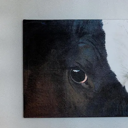 Arvine By Interhome * Nendaz